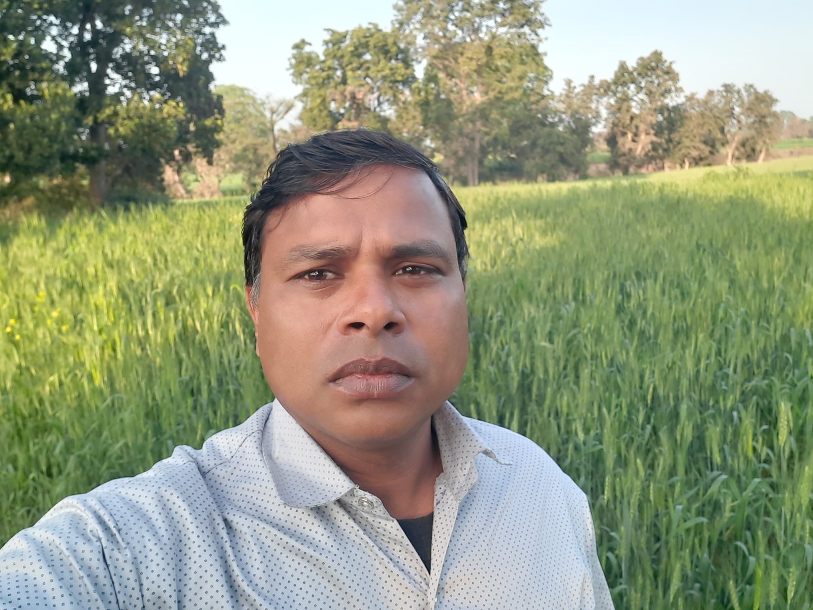 रमेशचंद्र बामनिया